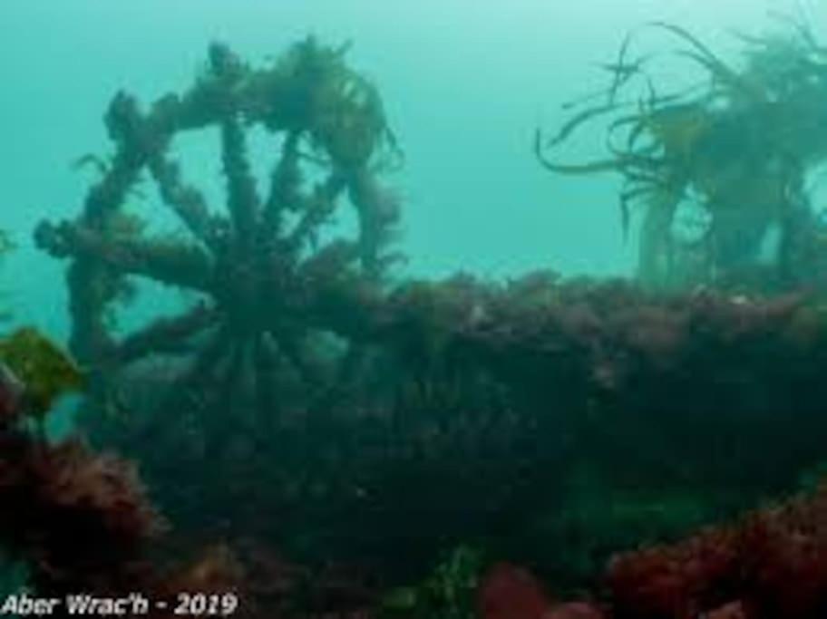Gite Entre Mer Et Abers Лендеда Экстерьер фото