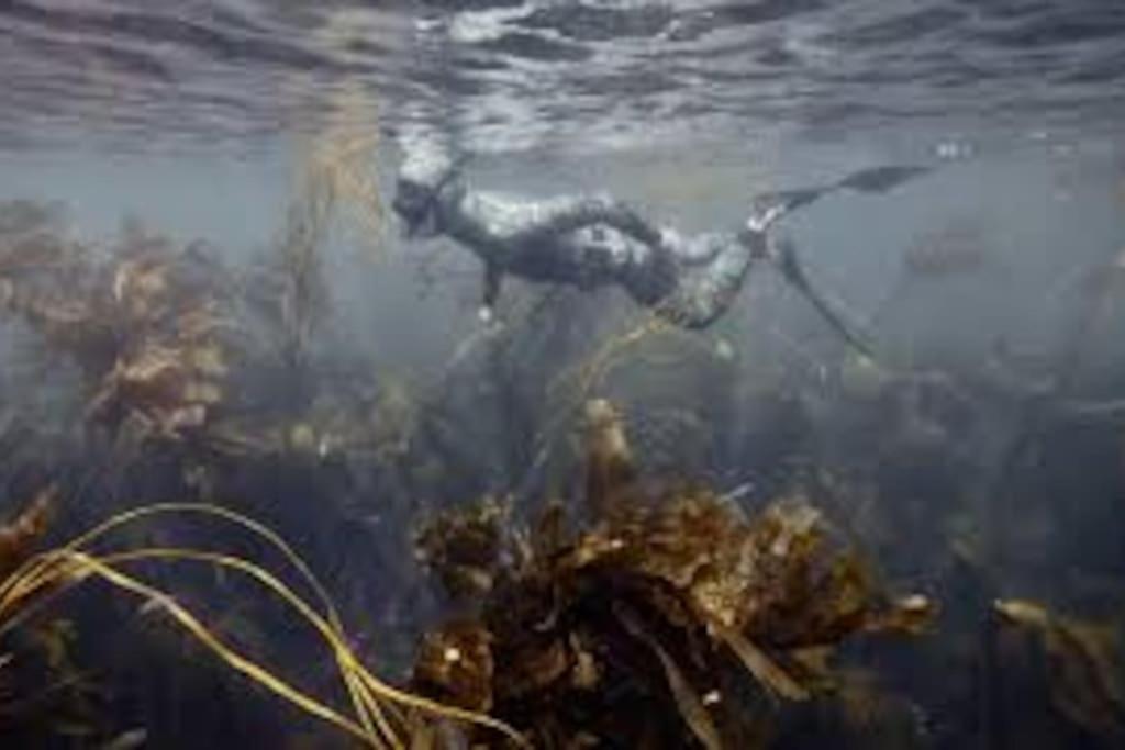 Gite Entre Mer Et Abers Лендеда Экстерьер фото